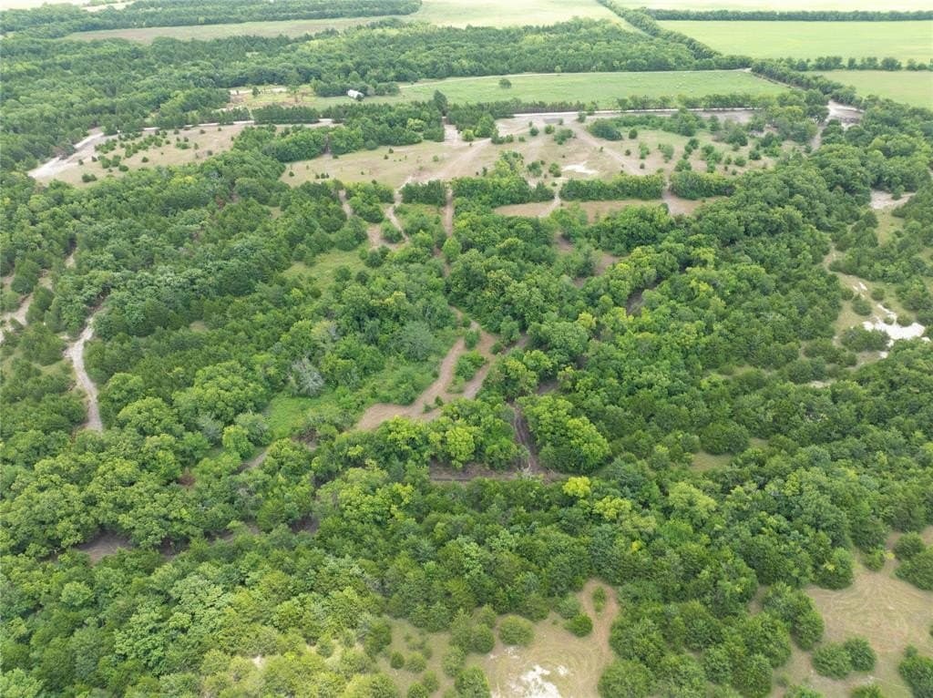 6 acres in Fannin County - photo 9