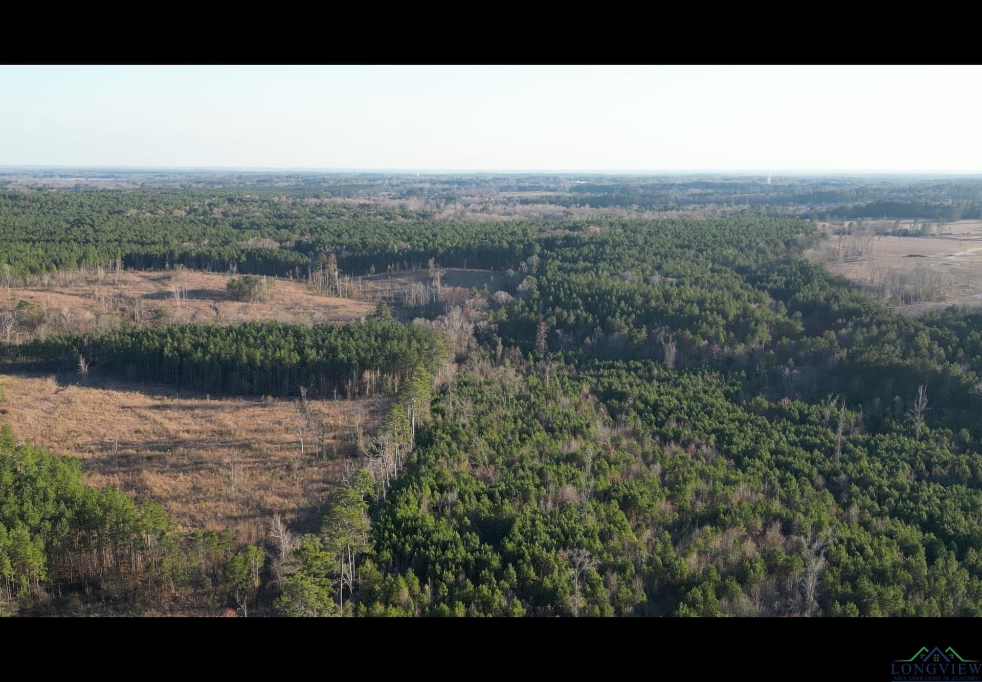 24 acres in Harrison County - photo 8