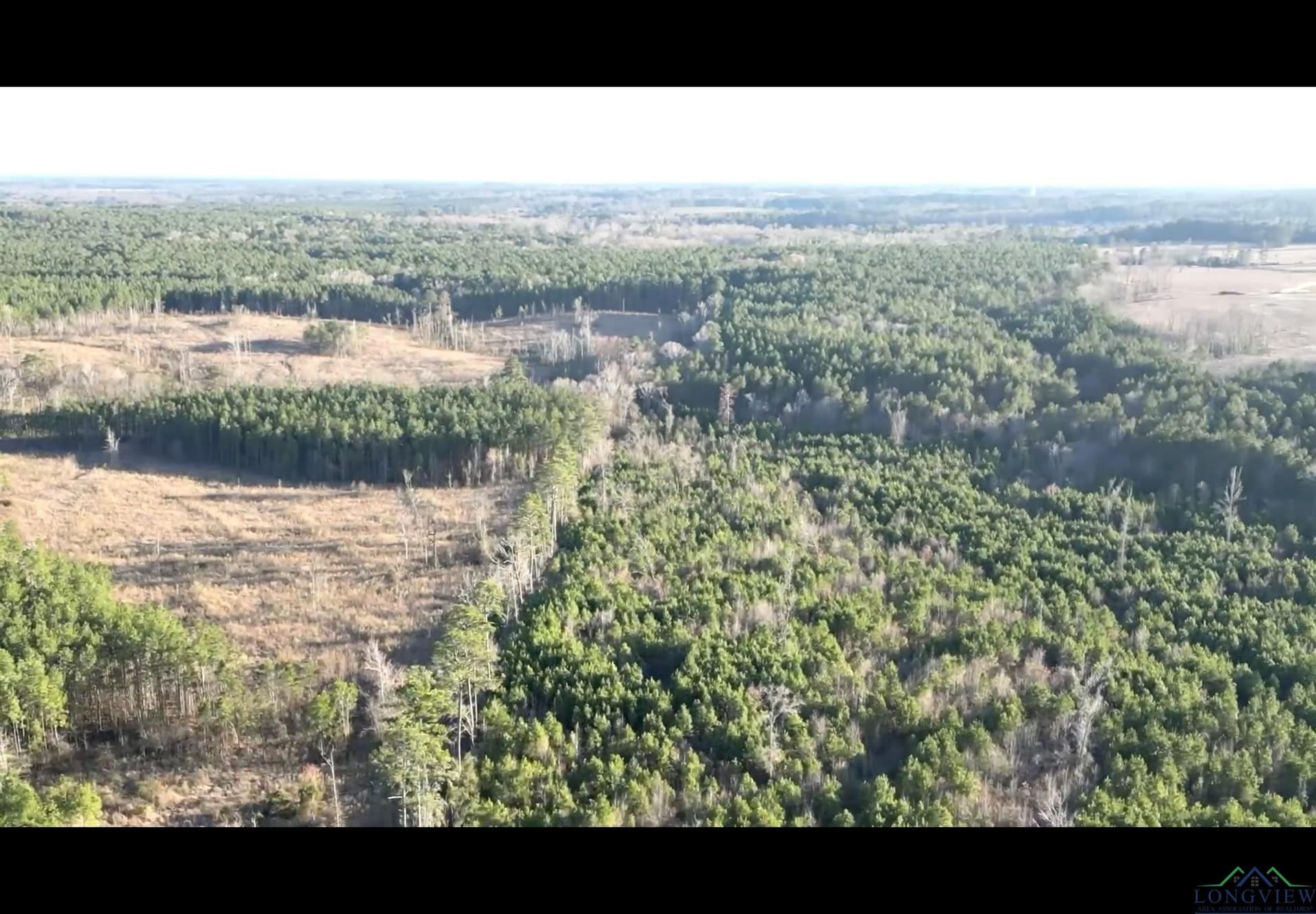 24 acres in Harrison County - photo 12