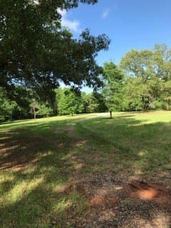 53.39 acres in ANDERSON County - photo 9