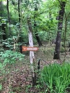 53.39 acres in ANDERSON County - photo 35
