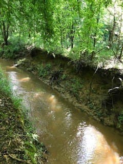 53.39 acres in ANDERSON County - photo 11