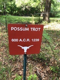 53.39 acres in ANDERSON County - photo 8