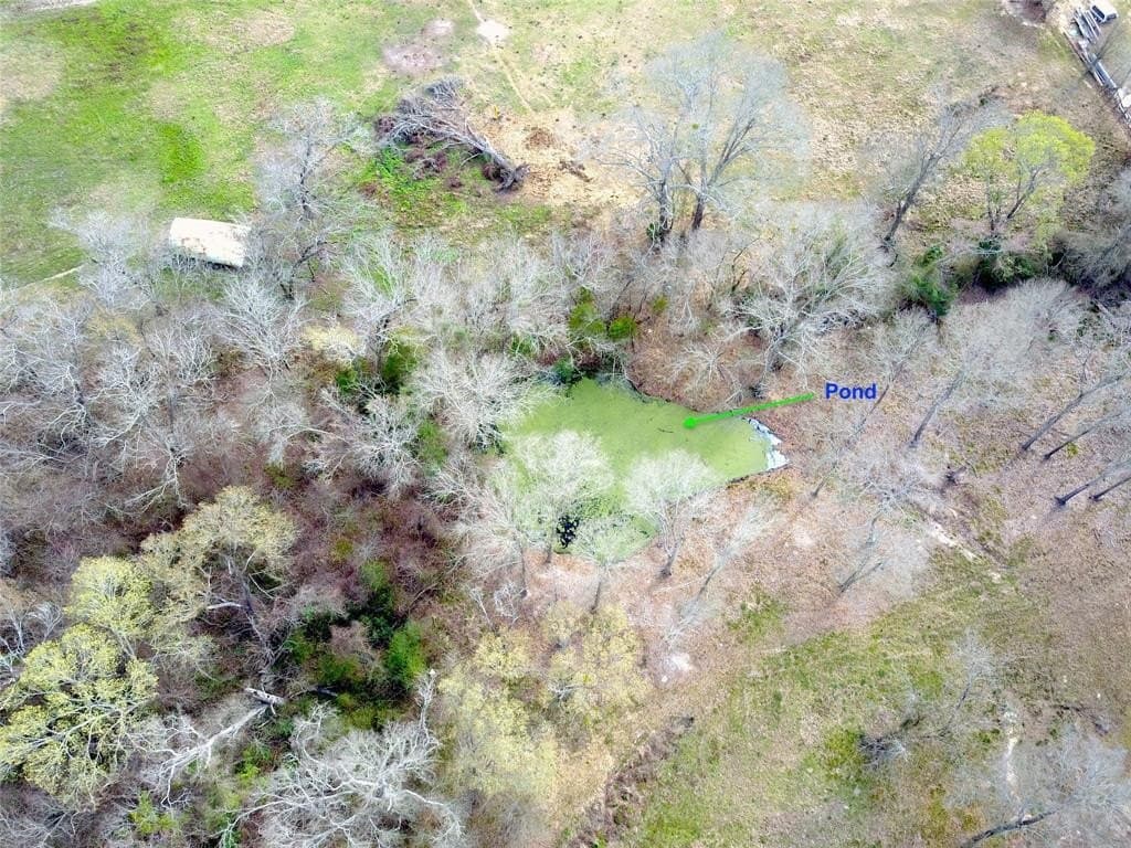 12 acres in Henderson County - photo 31