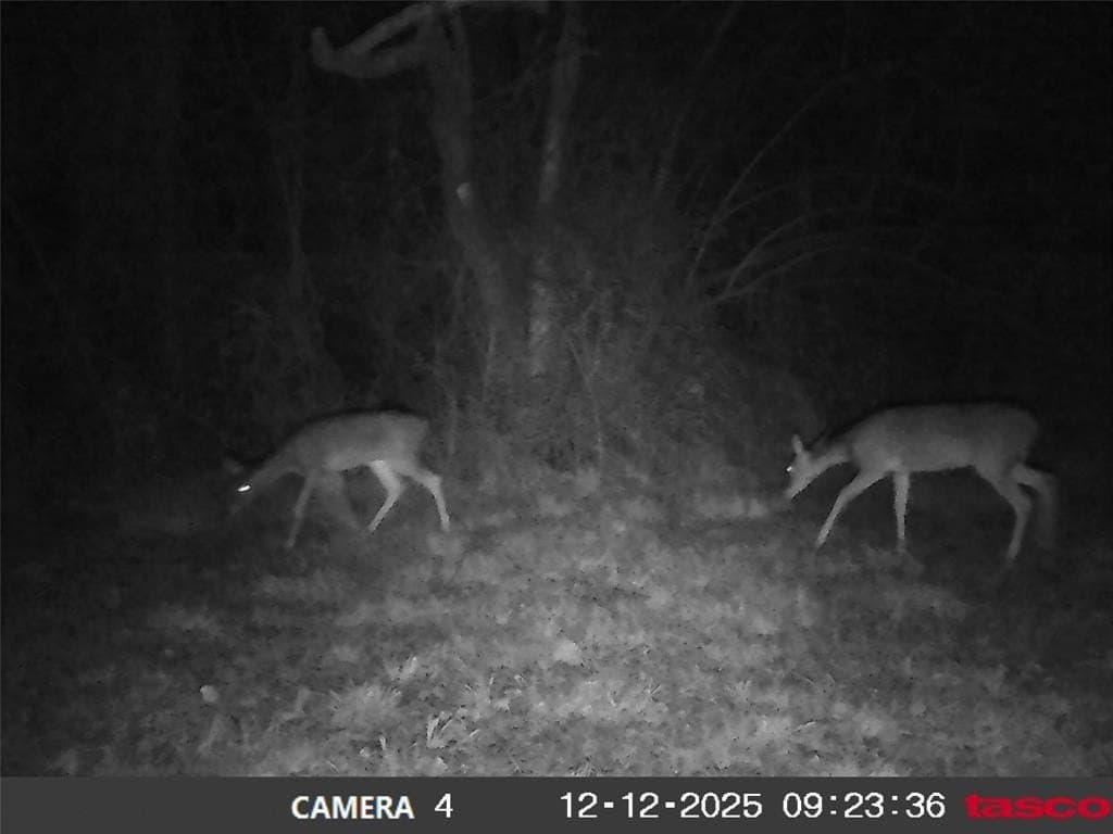 12 acres in Henderson County - photo 32