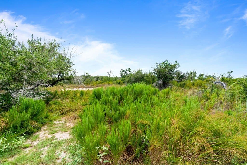 0 acres in Texas County - photo 8