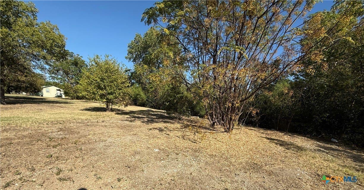 0.58 acres in Bell County - photo 3