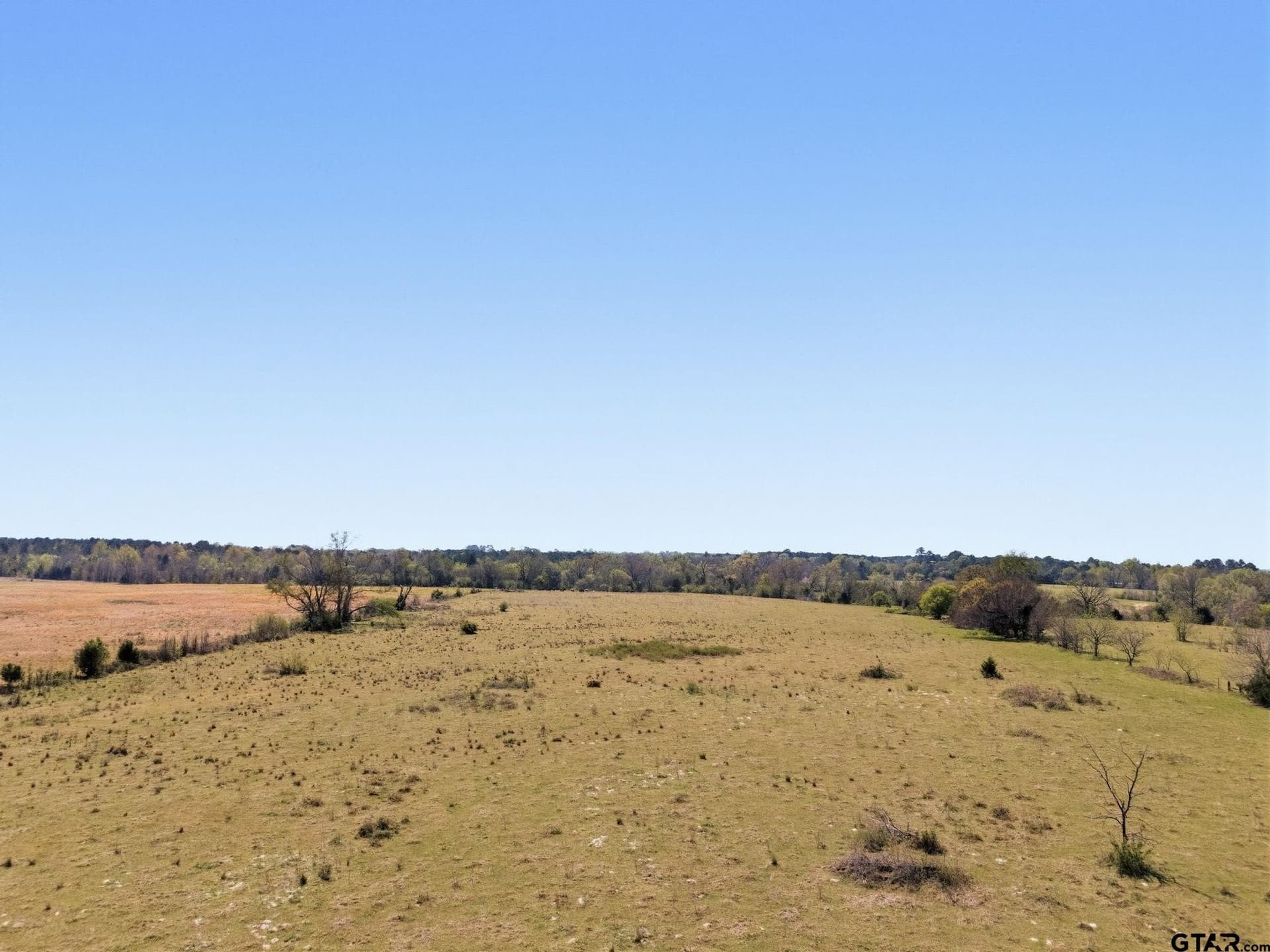 153.56 acres in Smith County - photo 28