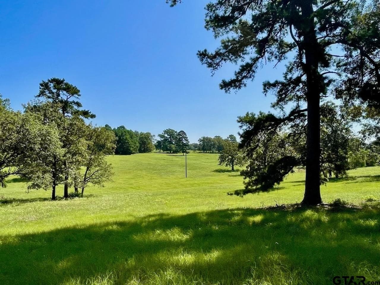 163.83 acres in Wood County - photo 5