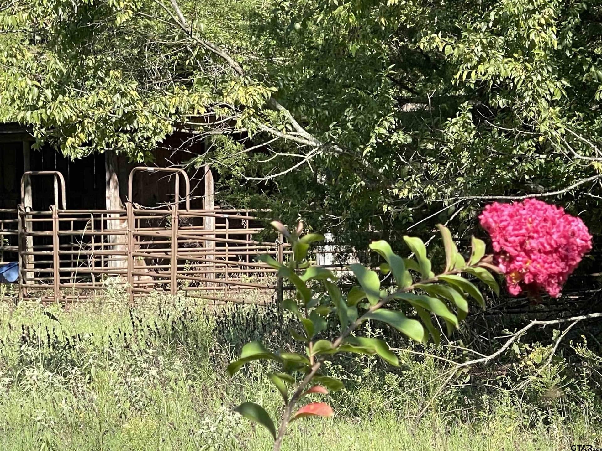 163.83 acres in Wood County - photo 33