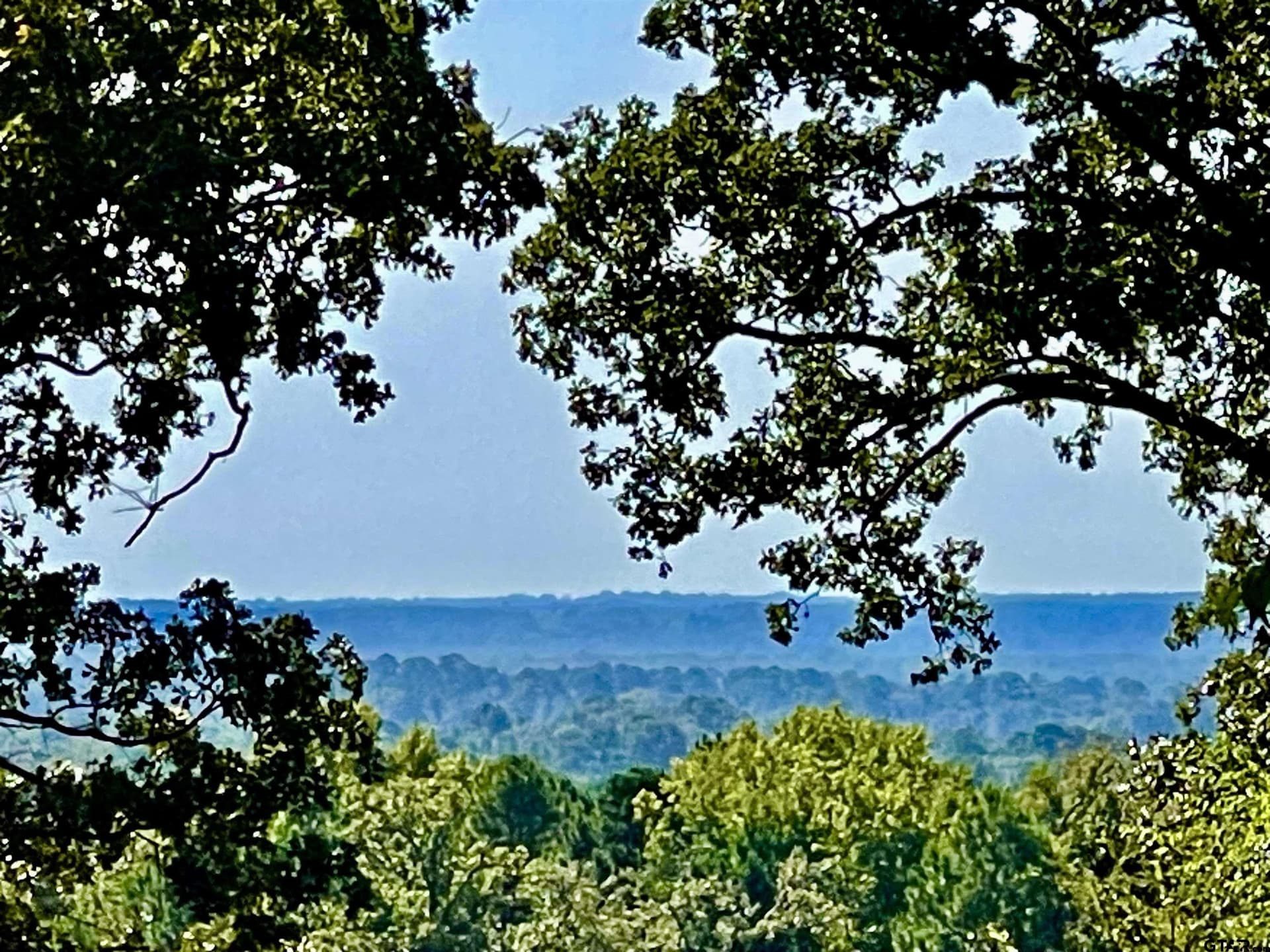 163.83 acres in Wood County - photo 13
