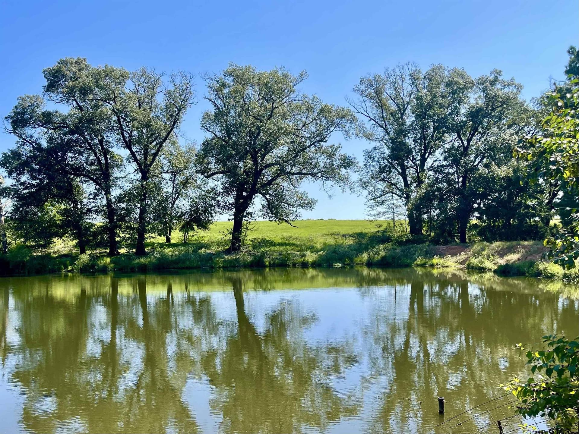 163.83 acres in Wood County - photo 35