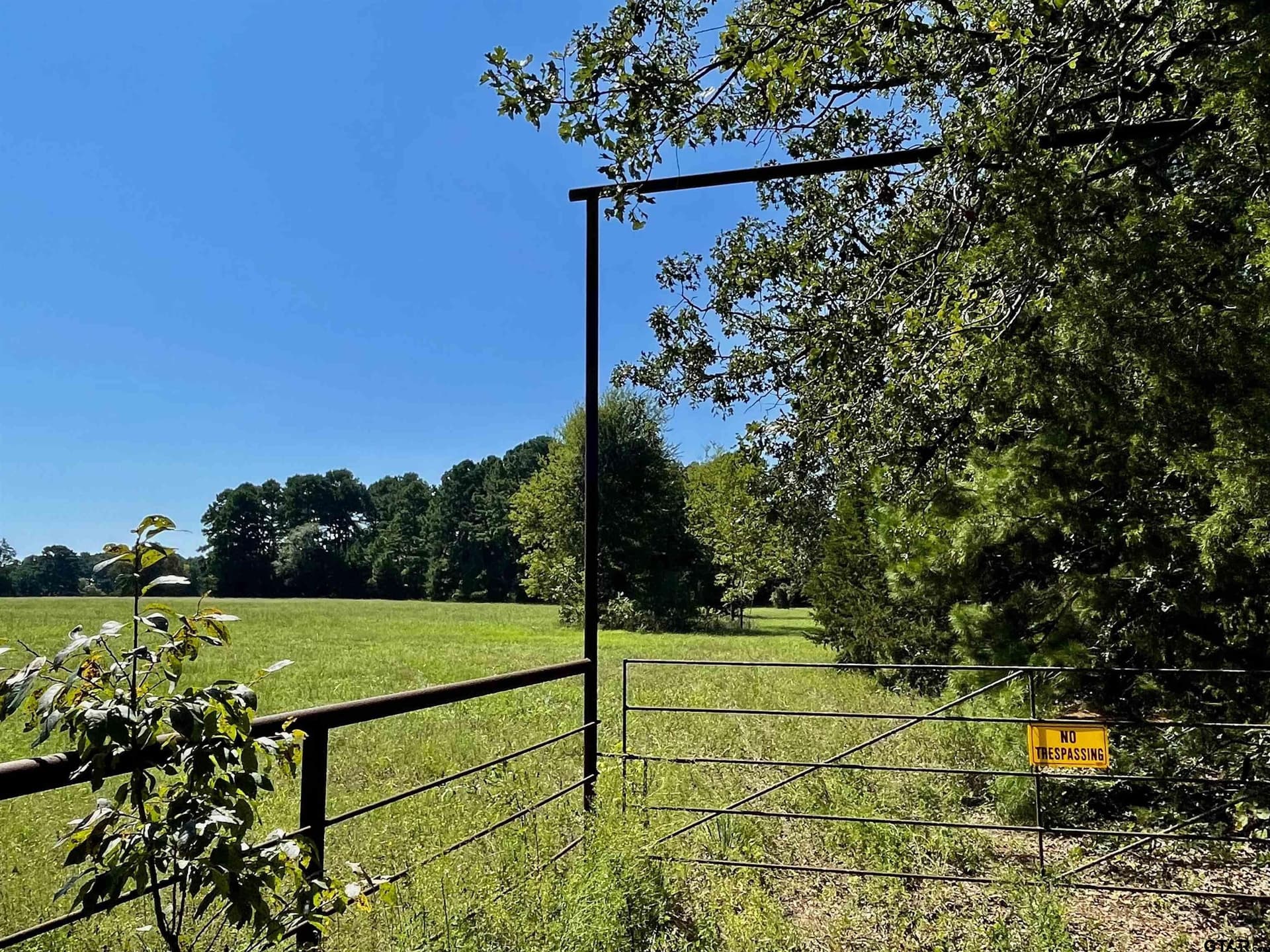163.83 acres in Wood County - photo 34
