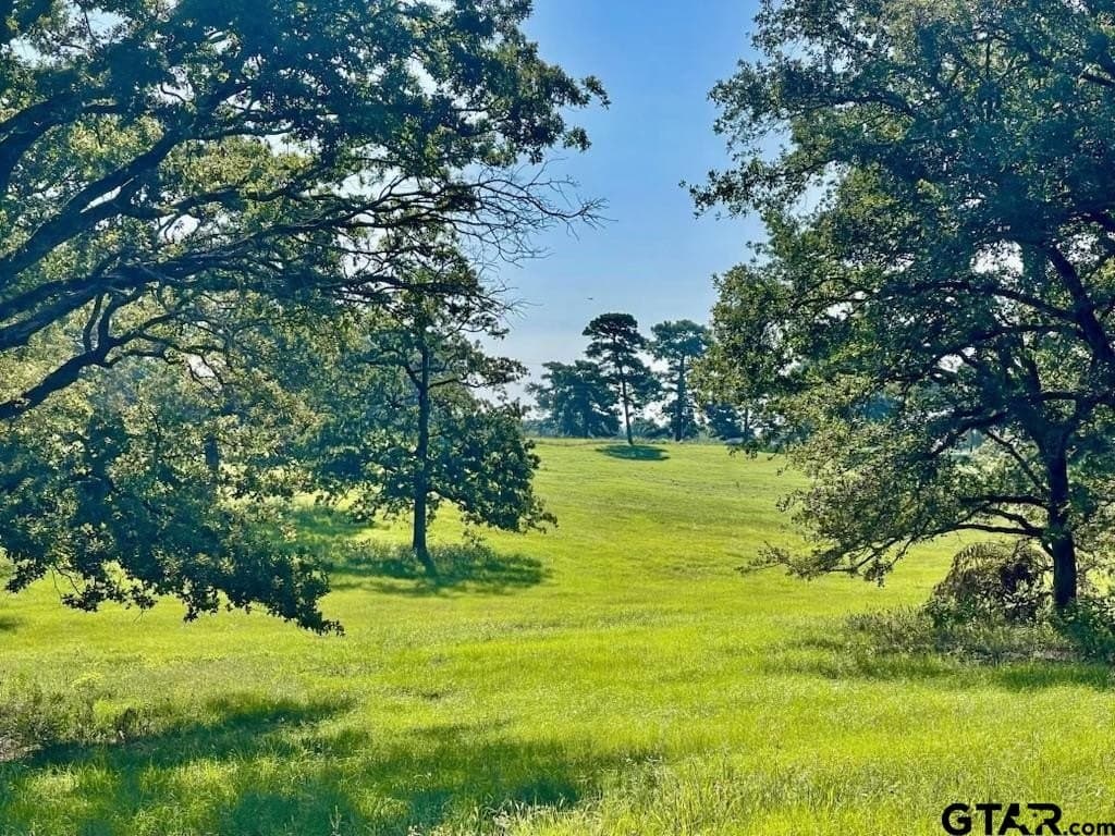 163.83 acres in Wood County - photo 3