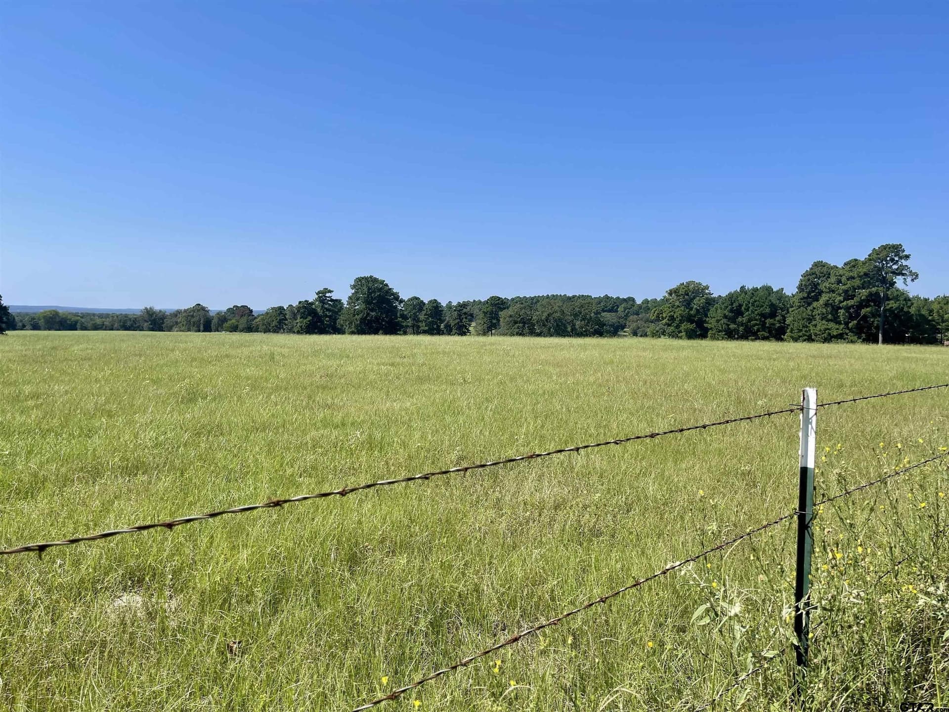 163.83 acres in Wood County - photo 30