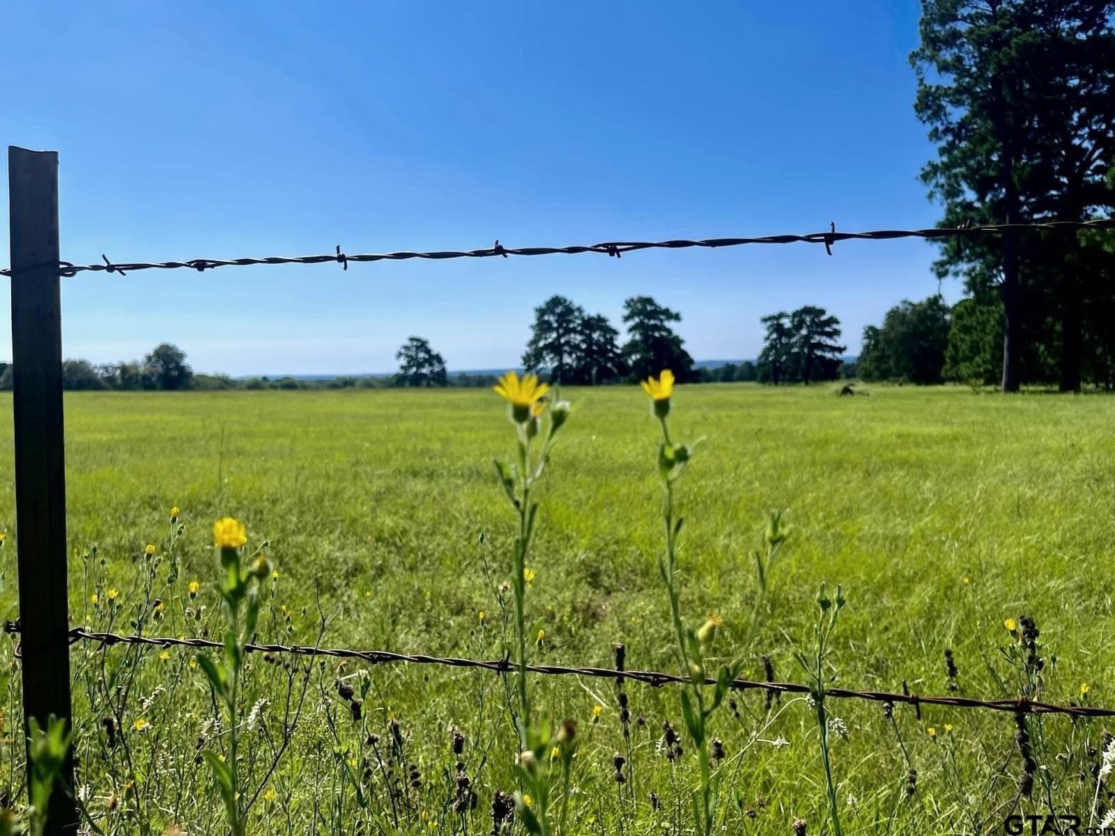 163.83 acres in Wood County - photo 7