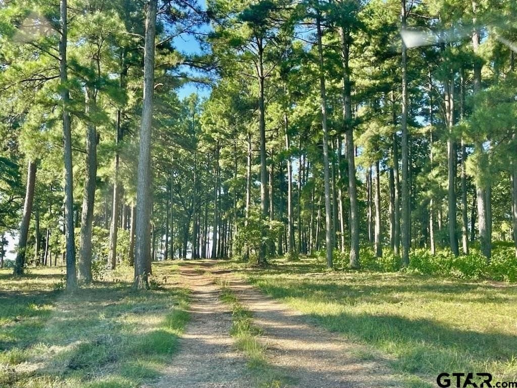 163.83 acres in Wood County - photo 2