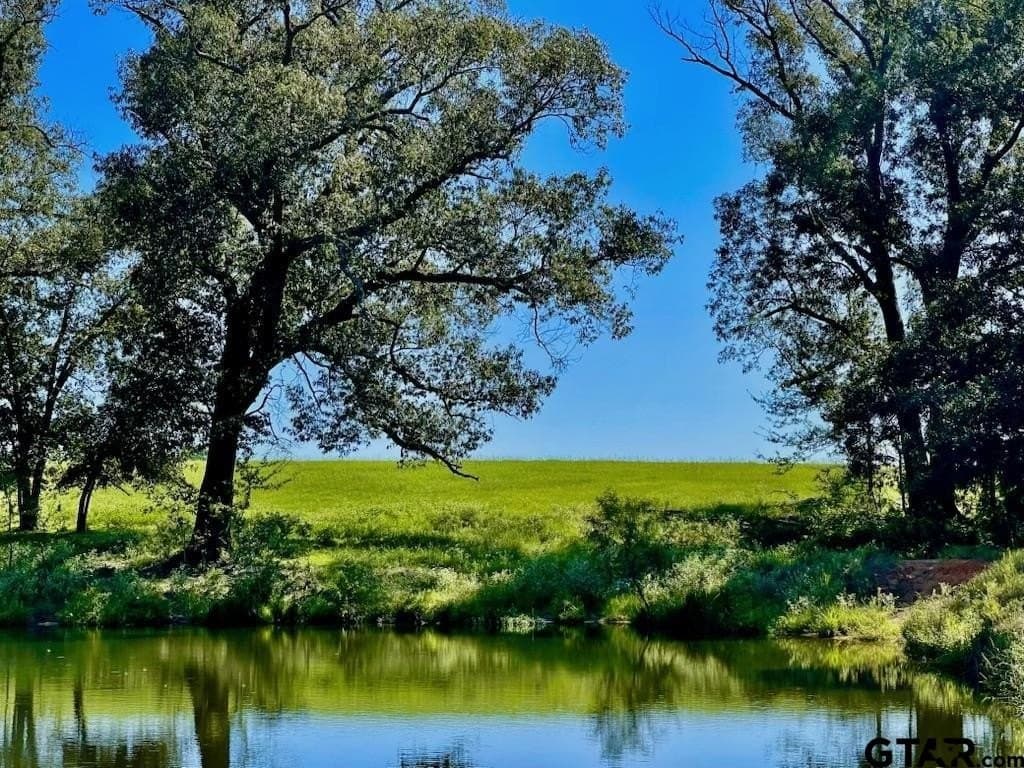 163.83 acres in Wood County - photo 4