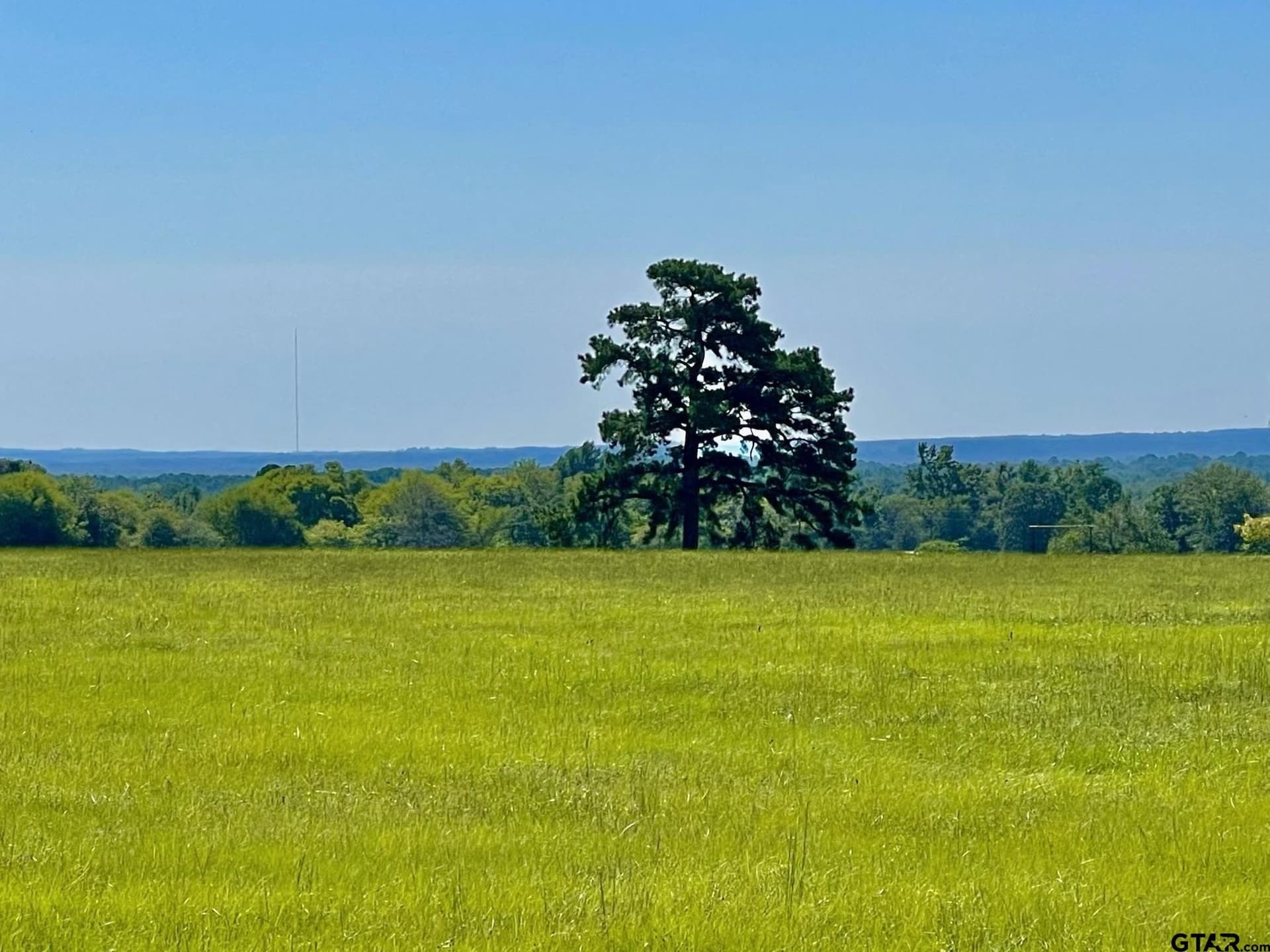 163.83 acres in Wood County - photo 8