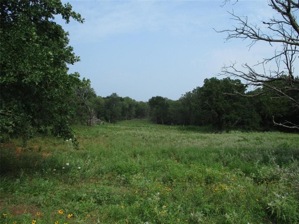 27 acres in Young County - photo 4