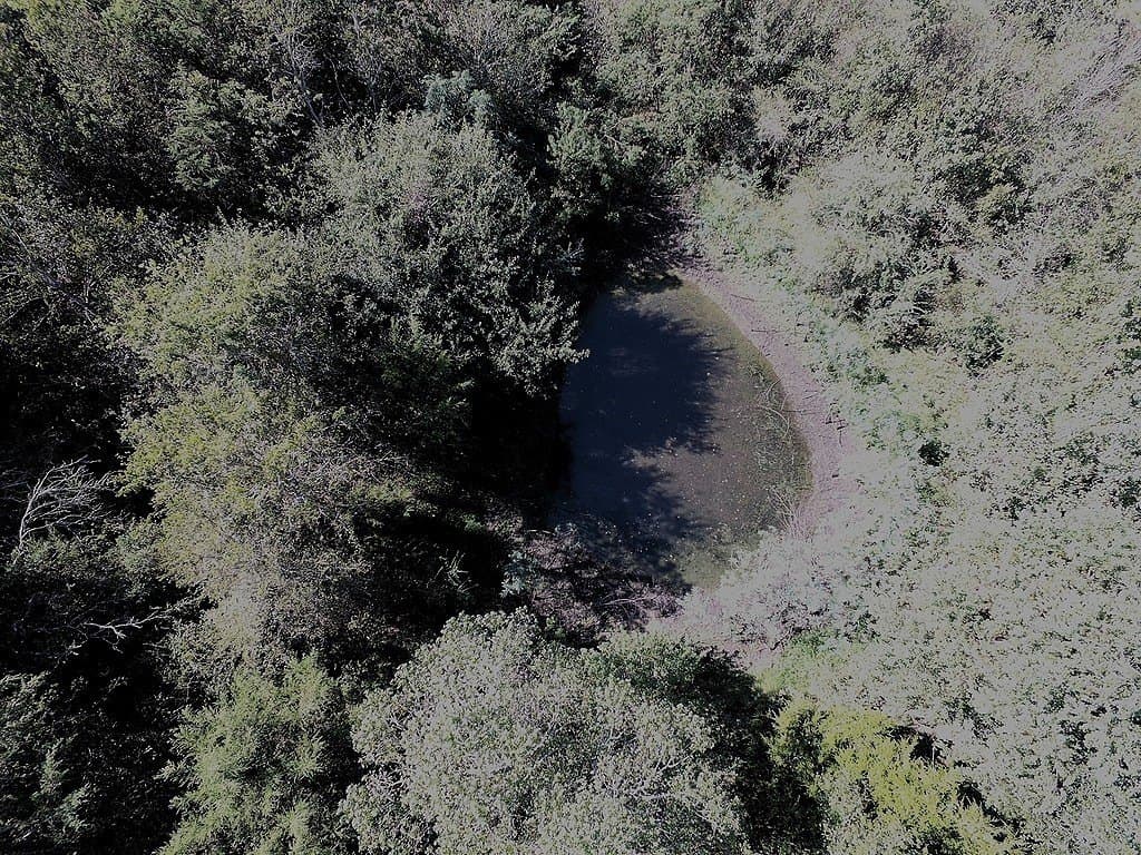 5.9 acres in Washington County - photo 8