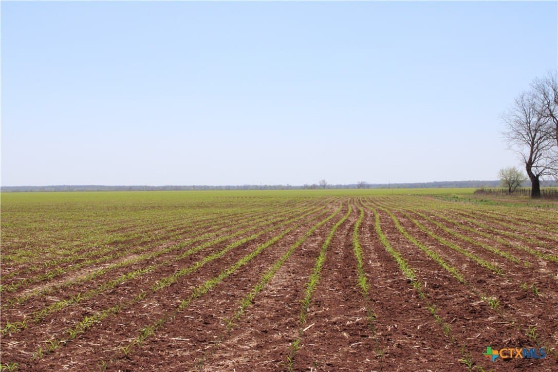 155 acres in Falls County - photo 4