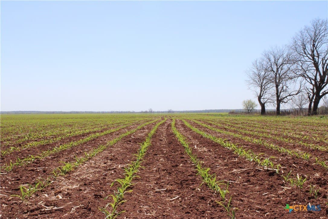 155 acres in Falls County - photo 2