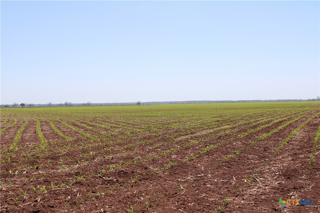 155 acres in Falls County - photo 3