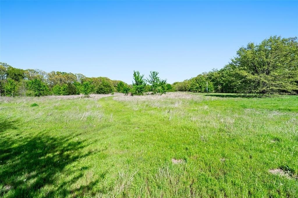 5 acres in Fannin County - photo 9