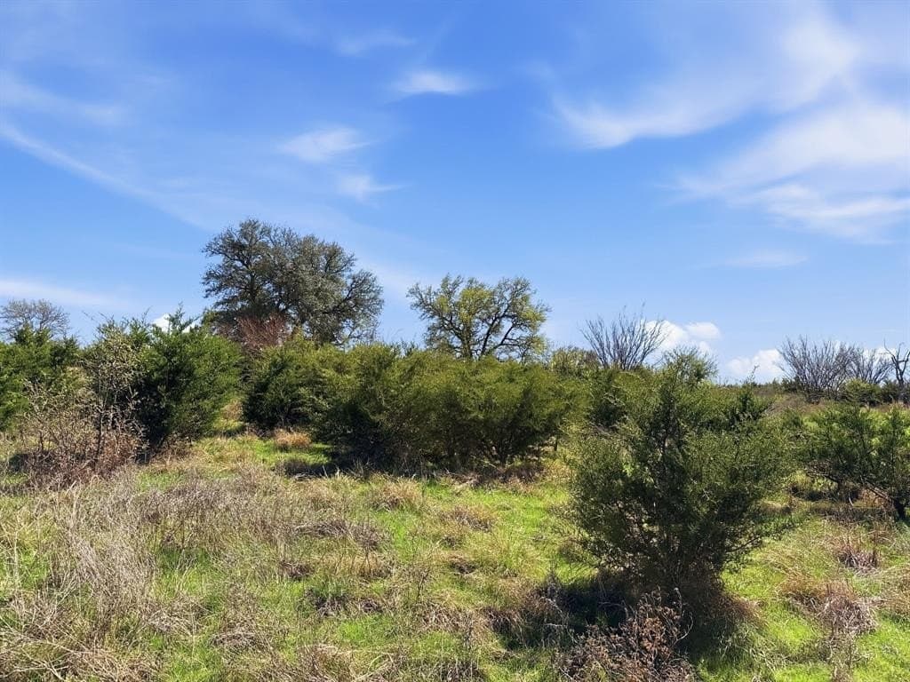 25.28 acres in Hamilton County - photo 10