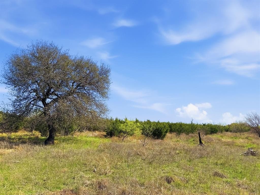 25.28 acres in Hamilton County - photo 14