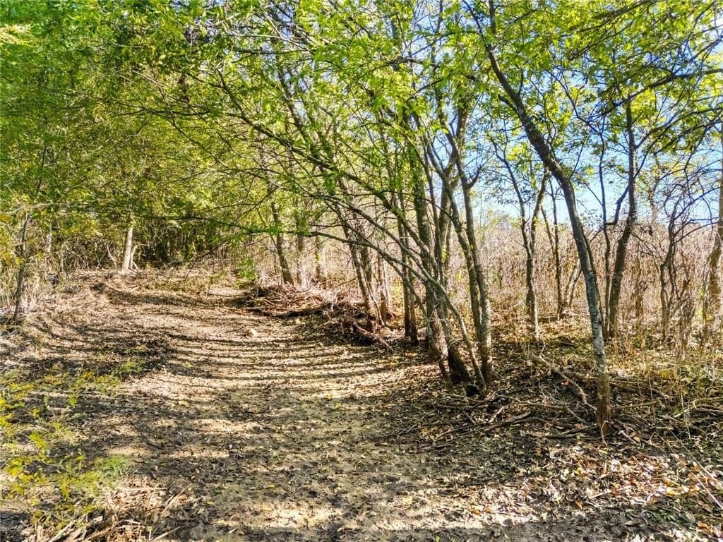 26 acres in McLennan County - photo 21