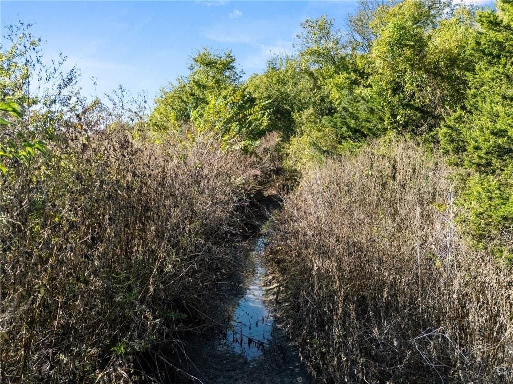 26 acres in McLennan County - photo 26