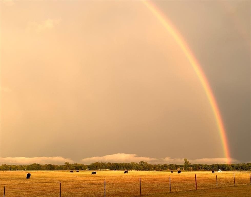 26 acres in McLennan County - photo 33
