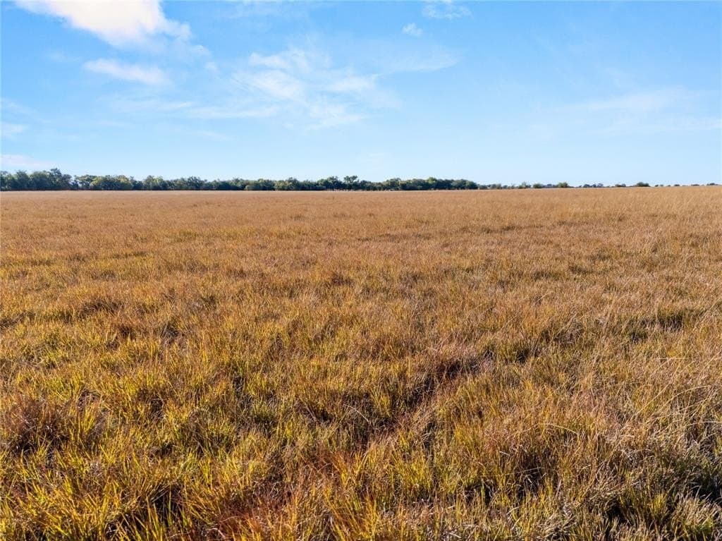 26 acres in McLennan County - photo 3