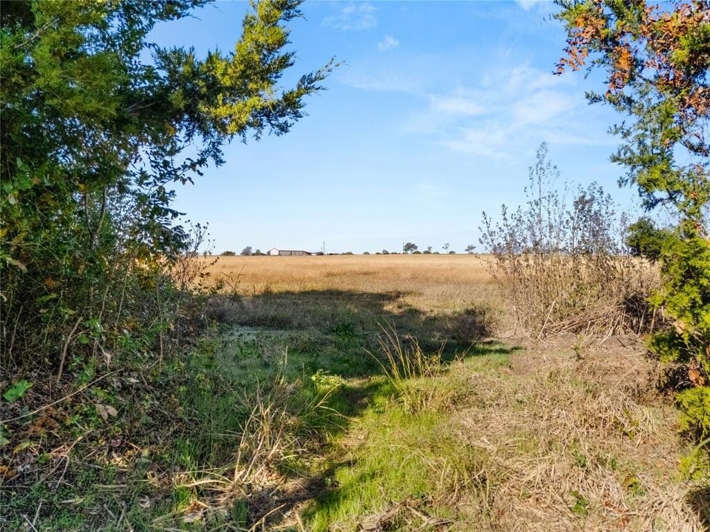 26 acres in McLennan County - photo 29