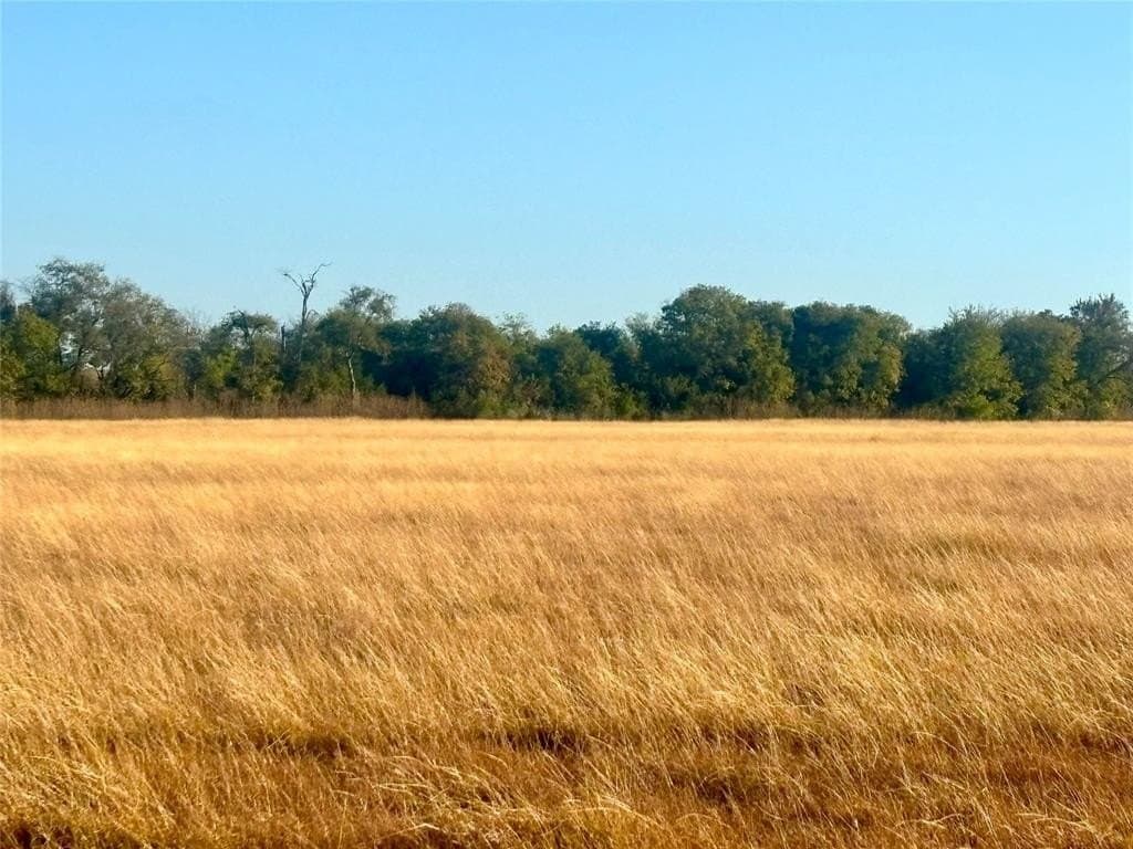 26 acres in McLennan County - photo 31