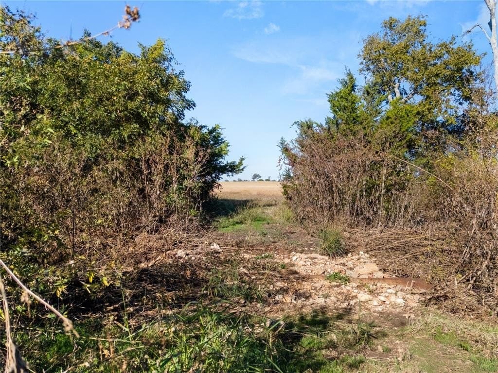 26 acres in McLennan County - photo 28