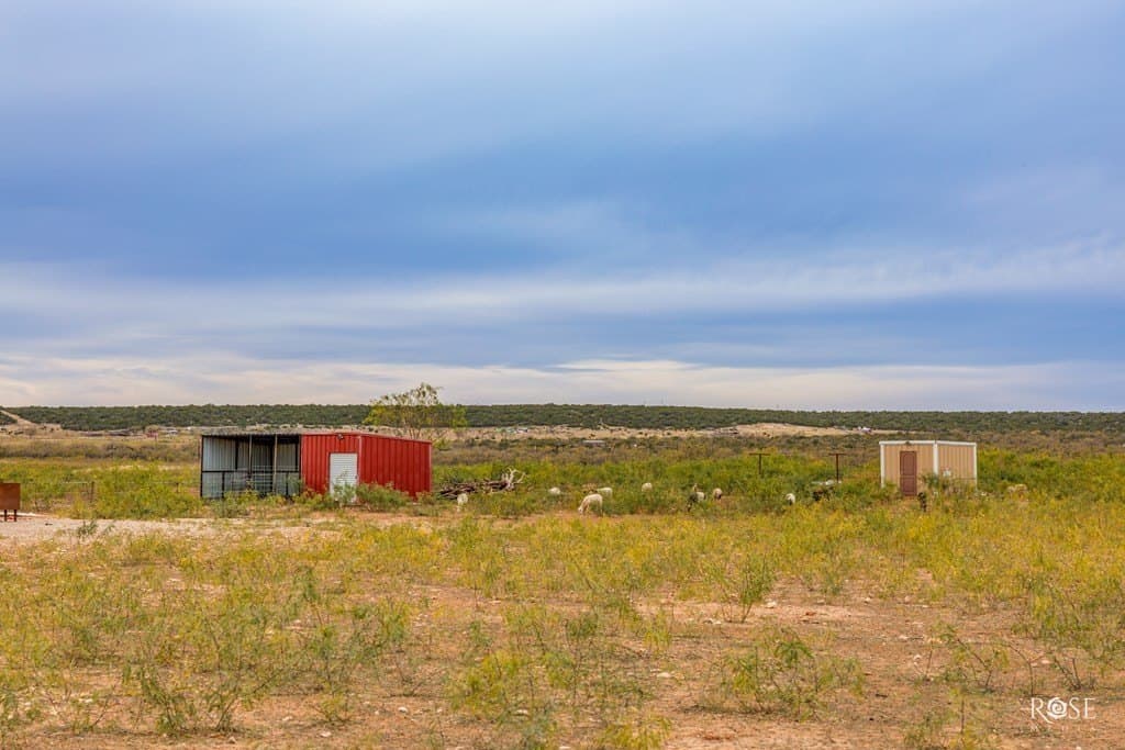 52.02 acres in Coke County - photo 28