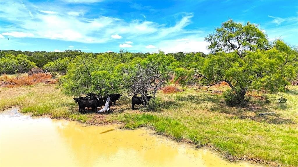 13 acres in Palo Pinto County - photo 4