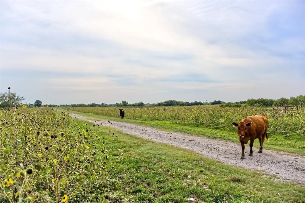 946.71 acres in Parker County - photo 22
