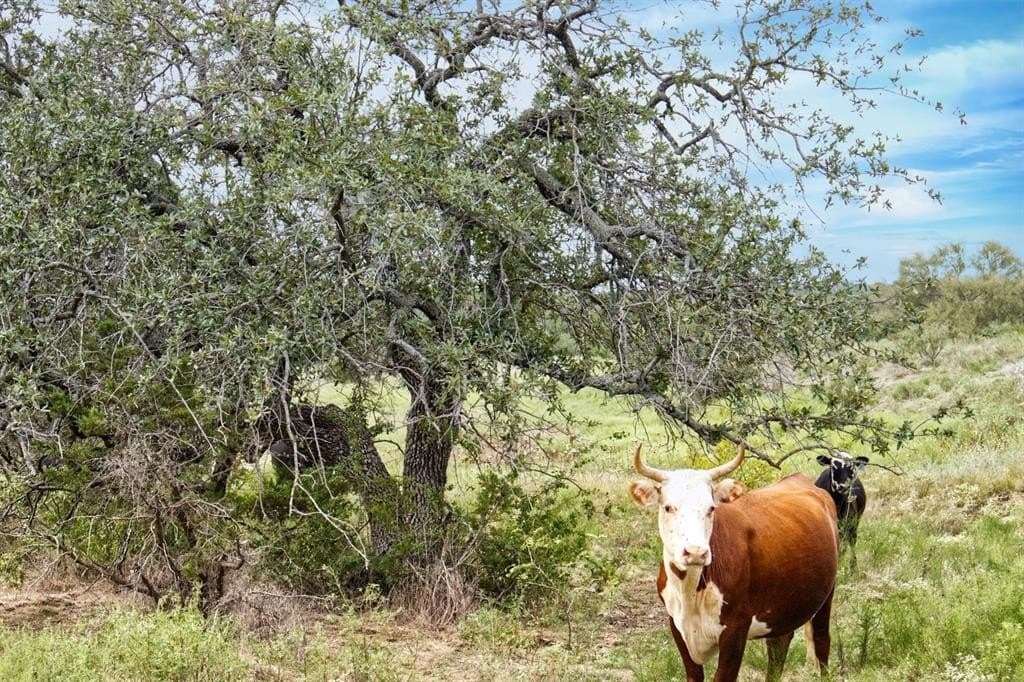 946.71 acres in Parker County - photo 28