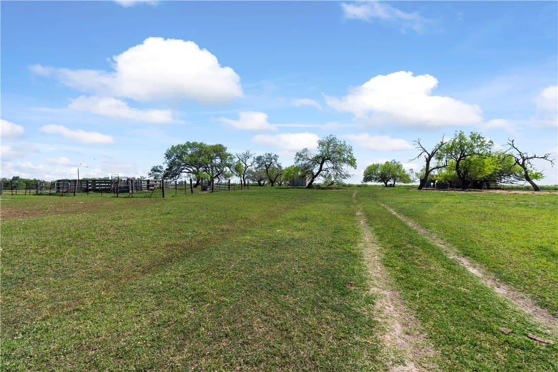 75 acres in Kleberg County - photo 8