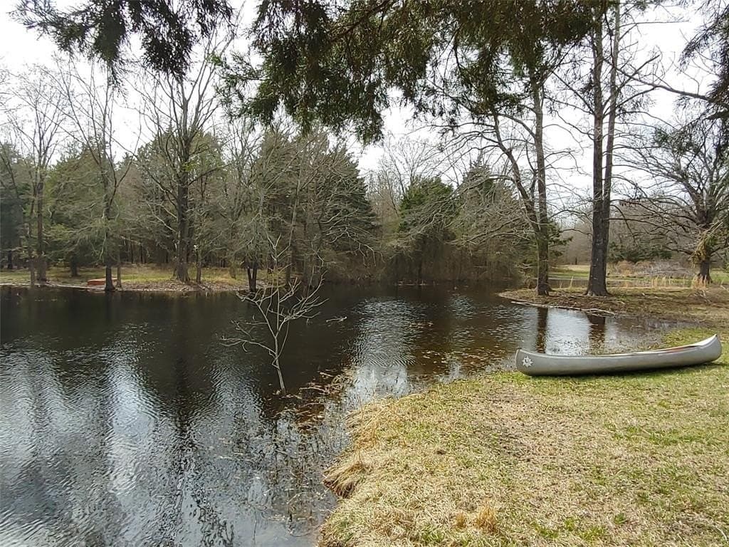 14 acres in Titus County - photo 6