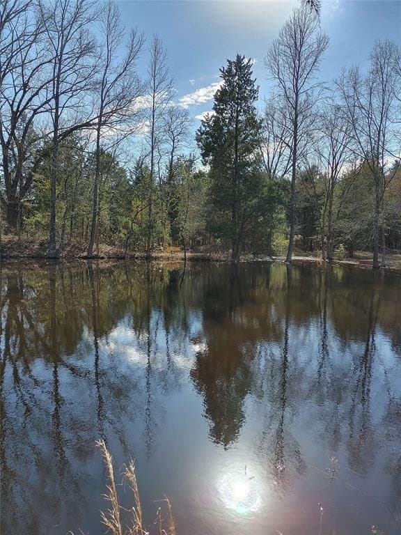 14 acres in Titus County - photo 4