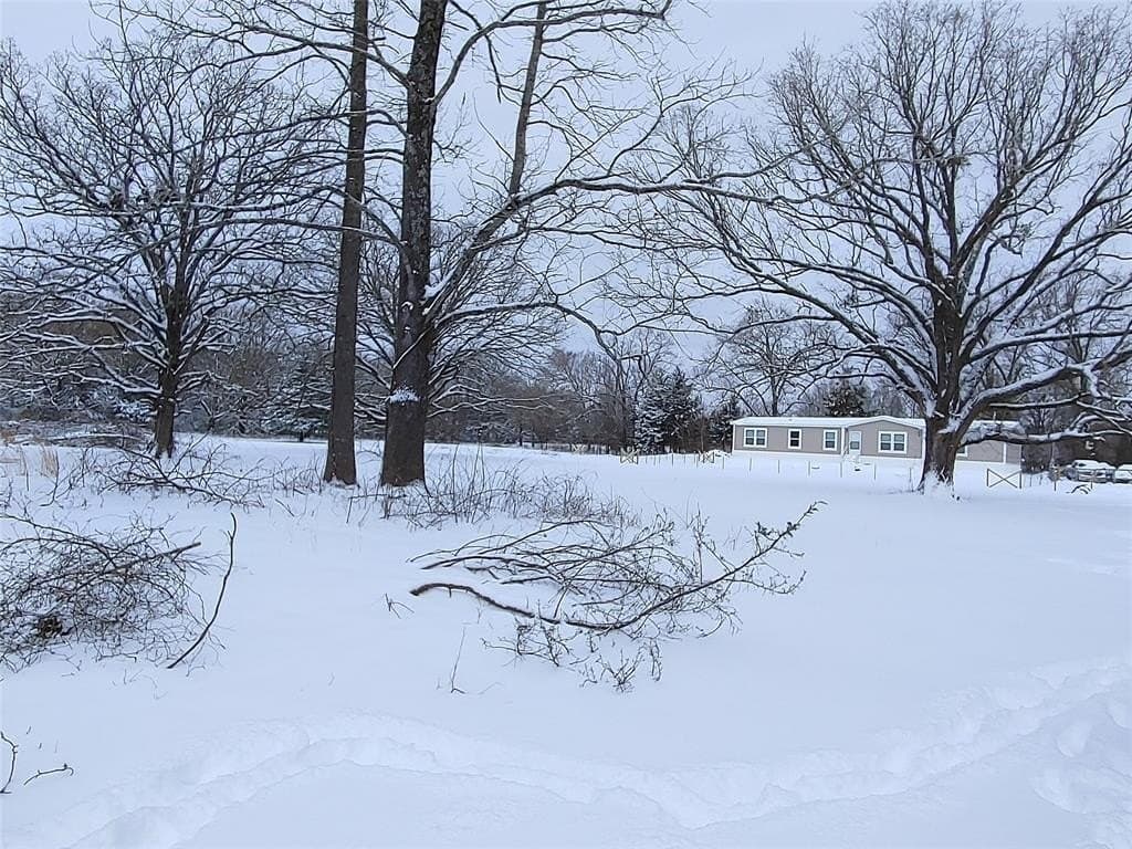14 acres in Titus County - photo 36