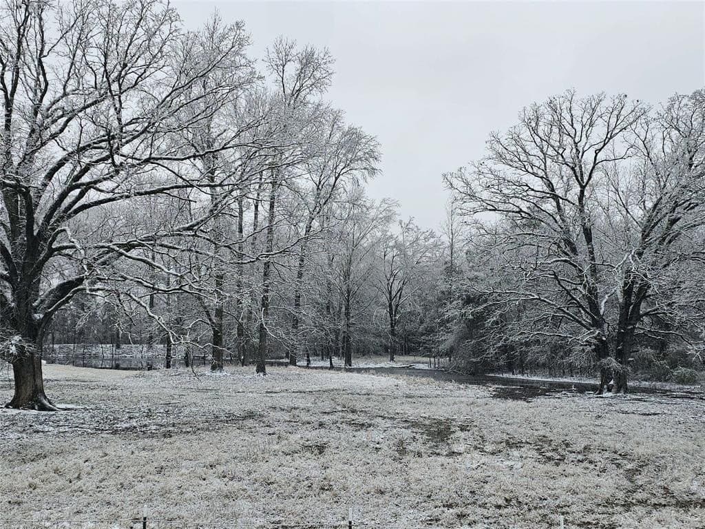 14 acres in Titus County - photo 35