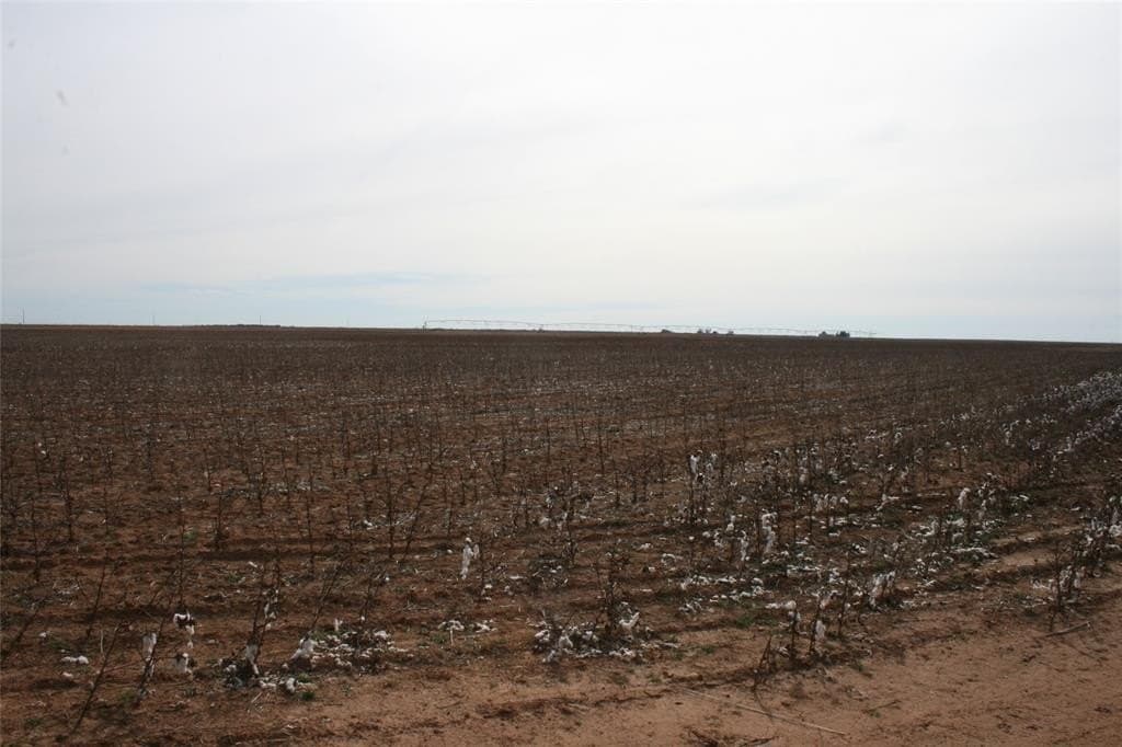 198.99 acres in Knox County - photo 12