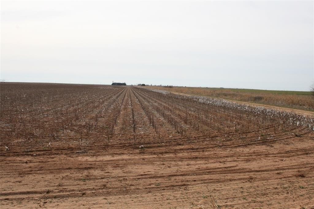 198.99 acres in Knox County - photo 4