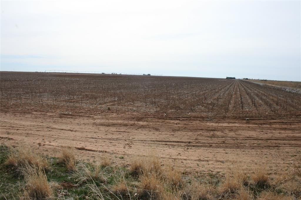 198.99 acres in Knox County - photo 5
